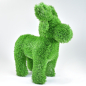 Preview: aniplants