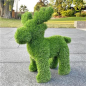 Preview: aniplants