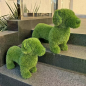 Preview: aniplants