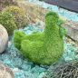 Preview: aniplants