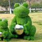 Preview: aniplants