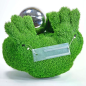 Preview: aniplants