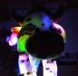 Preview: Wackelmuetze..kuh