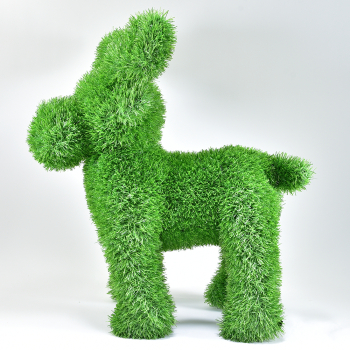 aniplants