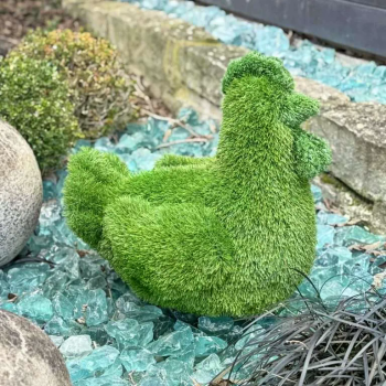 aniplants
