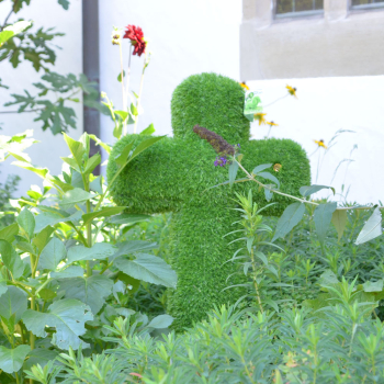 aniplants