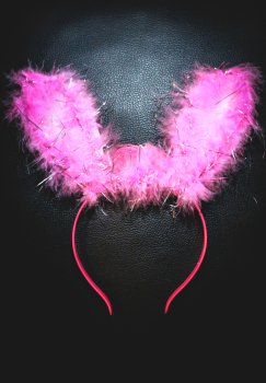 led.bunny.ohren.hasen