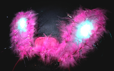 led.bunny.ohren.hasen