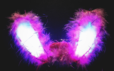 led.bunny.ohren.hasen