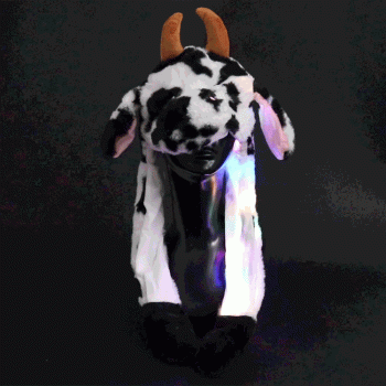 Wackelmuetze.Panda
