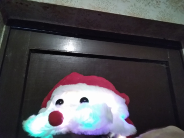 Wackelmuetze.Santa