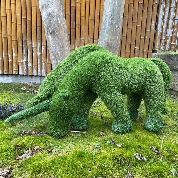 aniplants