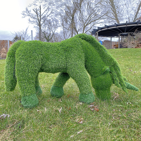 aniplants