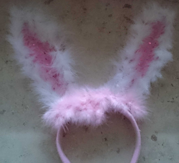 bunny.ohren