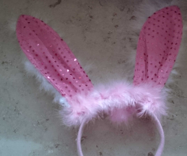 bunny.ohren
