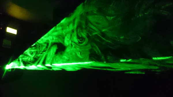 f079.laser.green.show.system