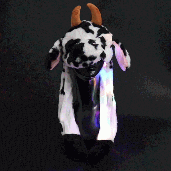 Wackelmuetze.Panda