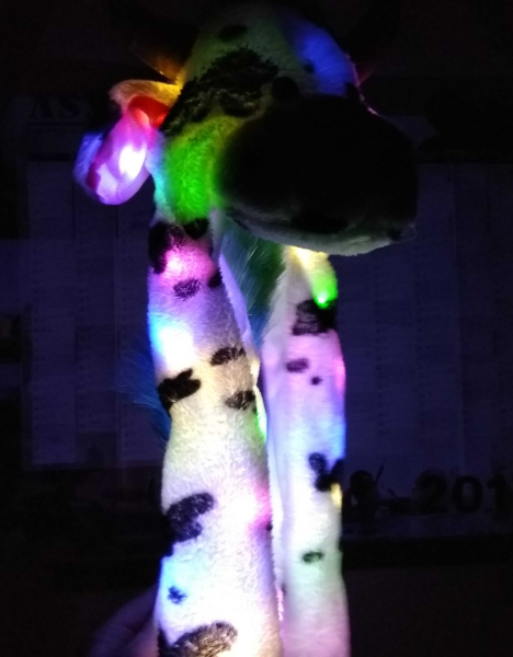 Wackelmuetze..kuh