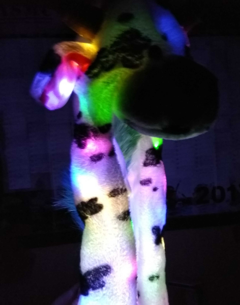 Wackelmuetze.Panda