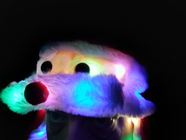 Wackelmuetze.Santa
